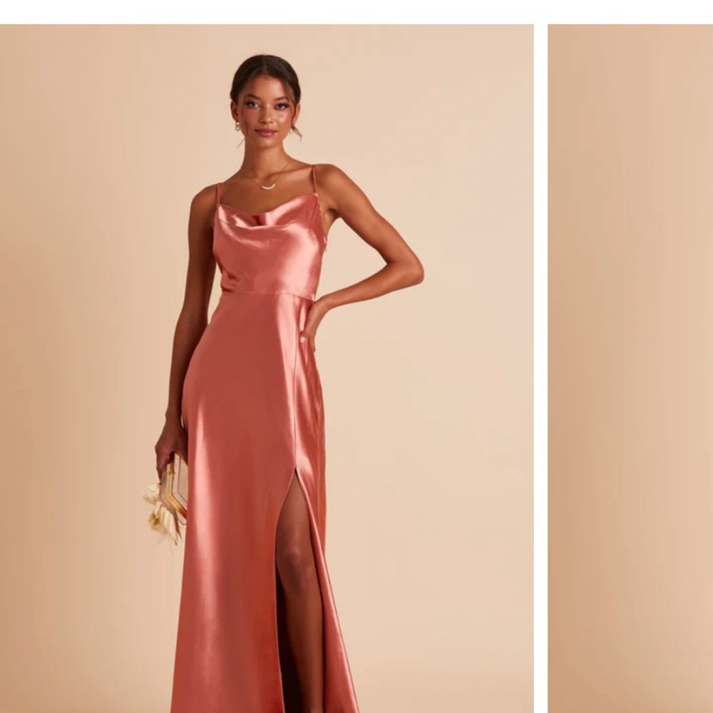 Birdy Grey Lisa Long Dress Satin in Teracotta